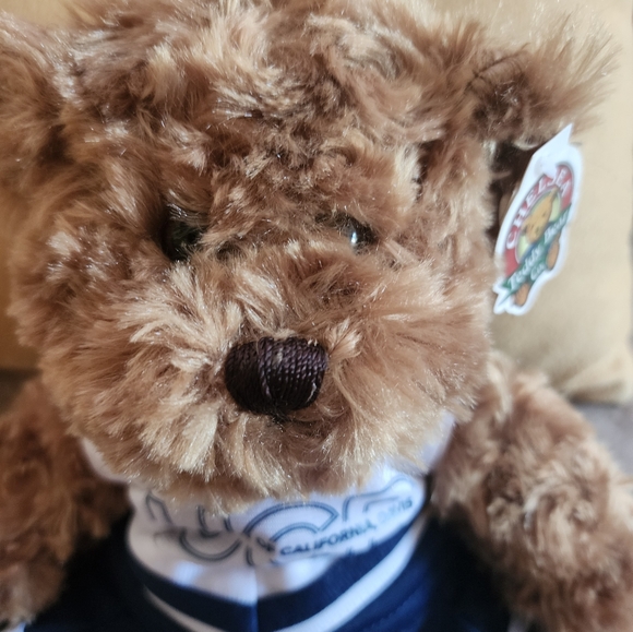 NORTH STARS CHELSEA TEDDY BEAR New with tag Dressed in Blue/White Cheerleader - Picture 2 of 4